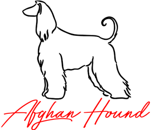 Afghan Hound Hunde Motiv sticken Afghane Stickerei T-Shirt sticken mit Afghan Hound