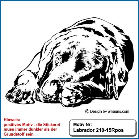 Labrador,Hundemotiv Labrador,Hoodie mit Labrador gestalten,Labrador Motiv